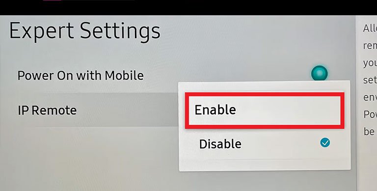 Enable IP Remote Enable IP Remote