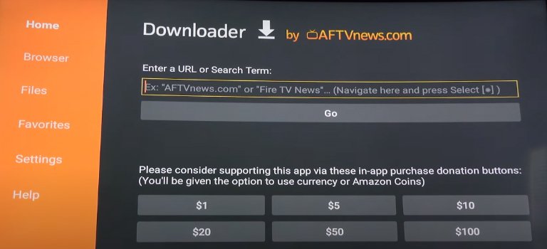 Enter URL on ES File Downloader