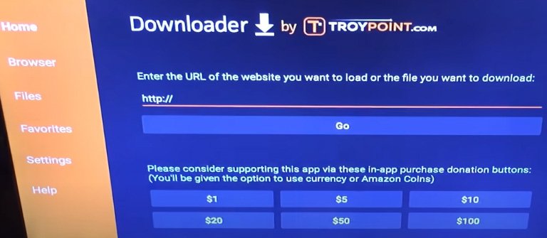 Type URL on Downloader App