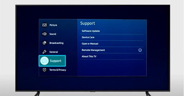 Samsung TV Support Settings