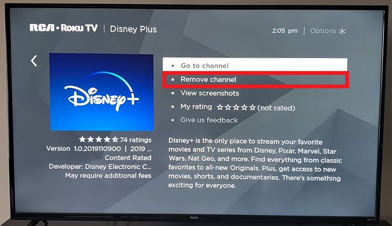 Remove the Disney Plus App